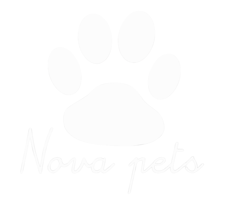 Lucky Nova Pets