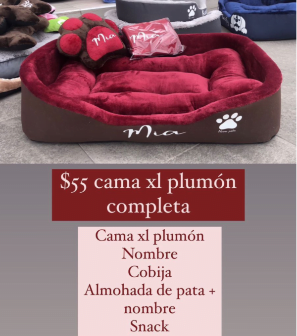 Combo Cama XL Plumón Completa