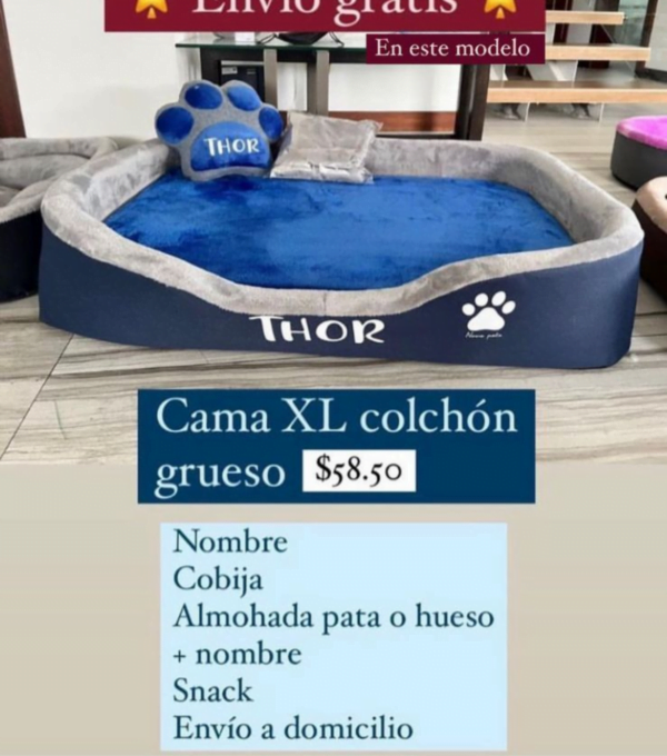 Combo Cama XL Colchón Grueso