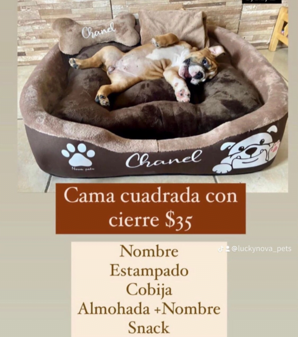 Combo Cama Cuadrada con cierre