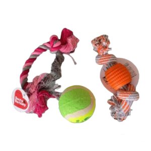 Set de Juguetes para Mascotas